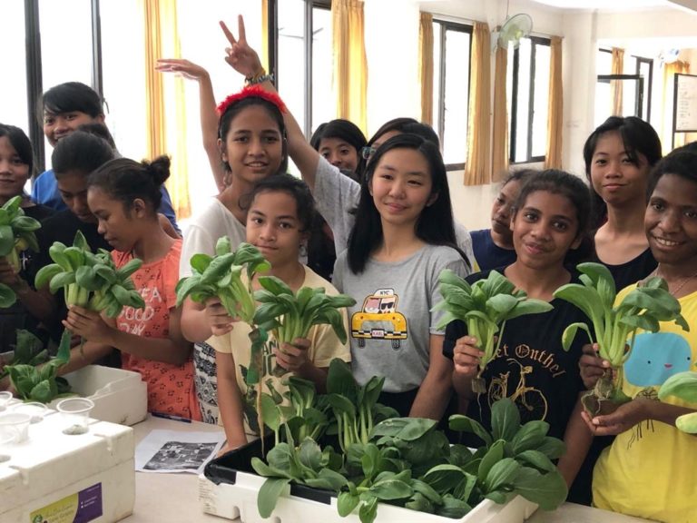 Kembangkan Sistem Tanam Sayur Sederhana, Kontribusi Bagi Lingkungan dan Bangsa