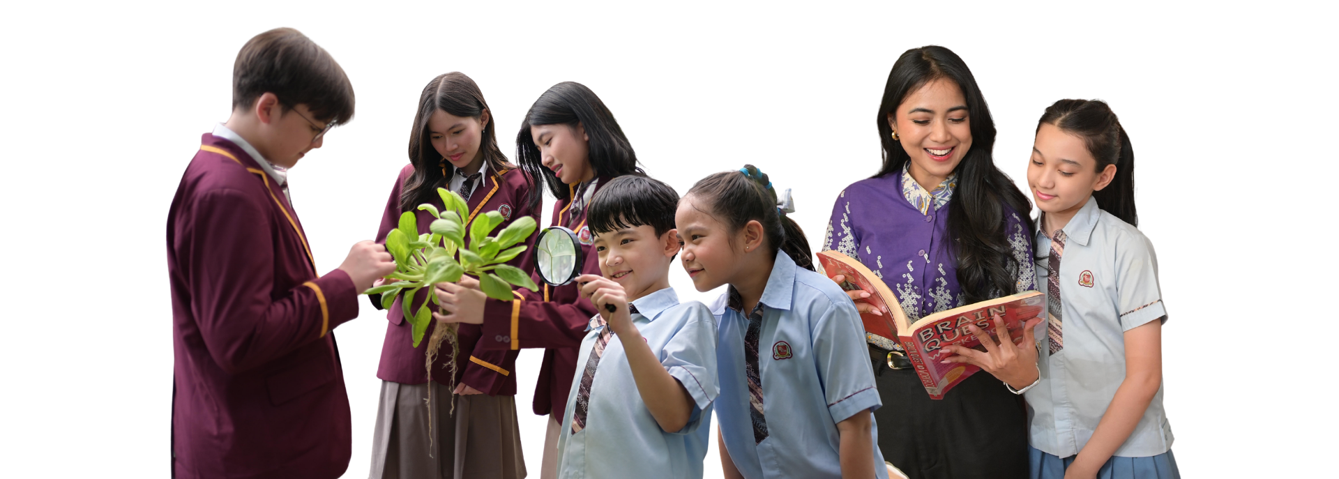 About Program Image